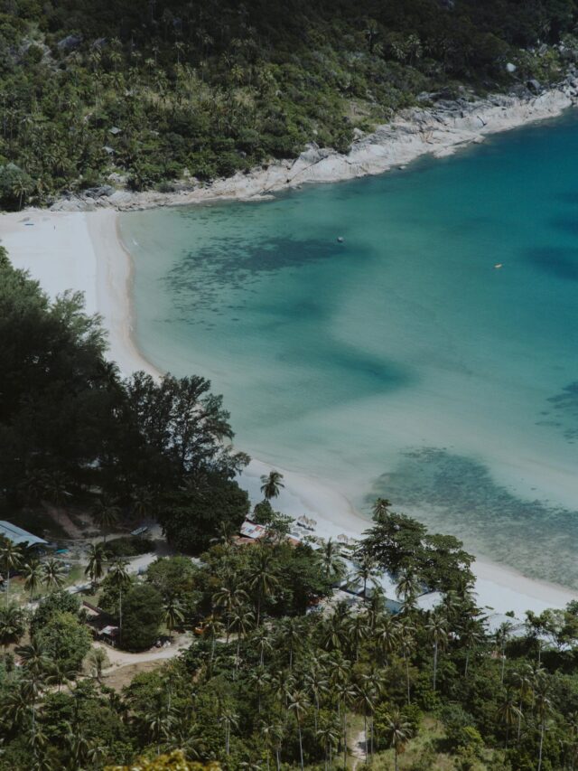 pexels-cottonbro-5608213