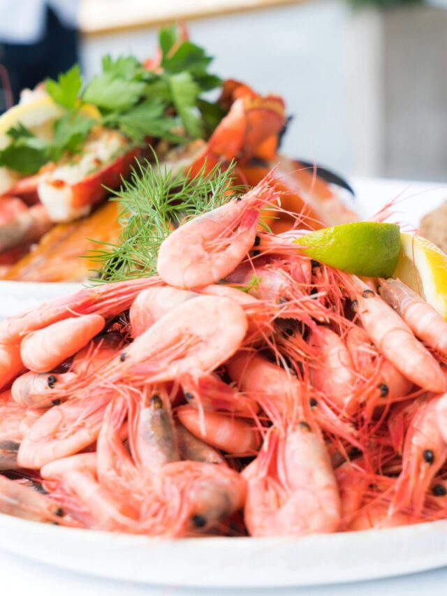 pexels-solliefoto-566344