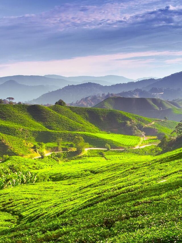 Top 10 Must-Visit Places in Malaysia: A Journey Through Paradise